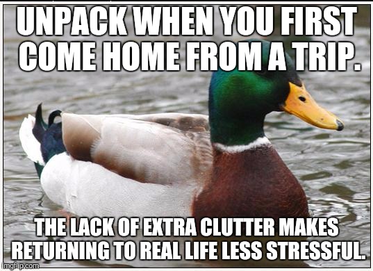 Actual Advice Mallard Meme | UNPACK WHEN YOU FIRST COME HOME FROM A TRIP. THE LACK OF EXTRA CLUTTER MAKES RETURNING TO REAL LIFE LESS STRESSFUL. | image tagged in memes,actual advice mallard,AdviceAnimals | made w/ Imgflip meme maker