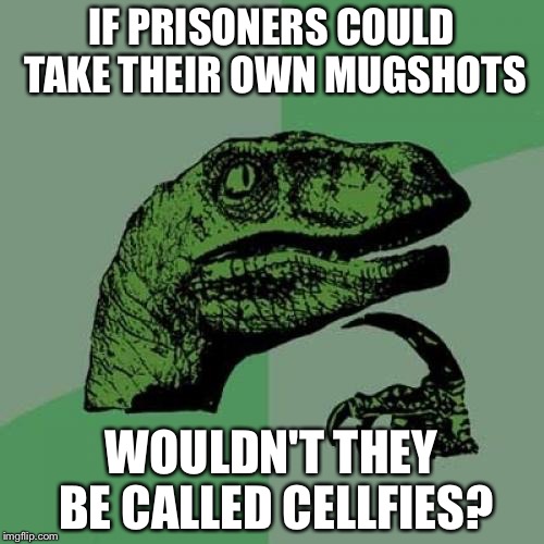 Philosoraptor Meme | IF PRISONERS COULD TAKE THEIR OWN MUGSHOTS WOULDN'T THEY BE CALLED CELLFIES? | image tagged in memes,philosoraptor | made w/ Imgflip meme maker