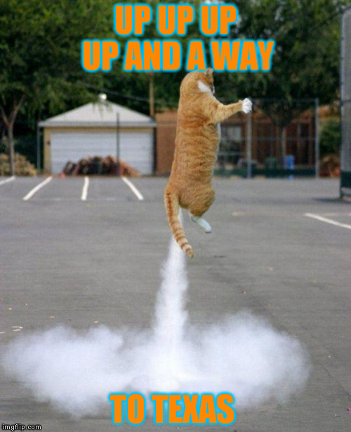 Rocket cat | UP UP UP UP AND A WAY TO TEXAS | image tagged in rocket cat | made w/ Imgflip meme maker