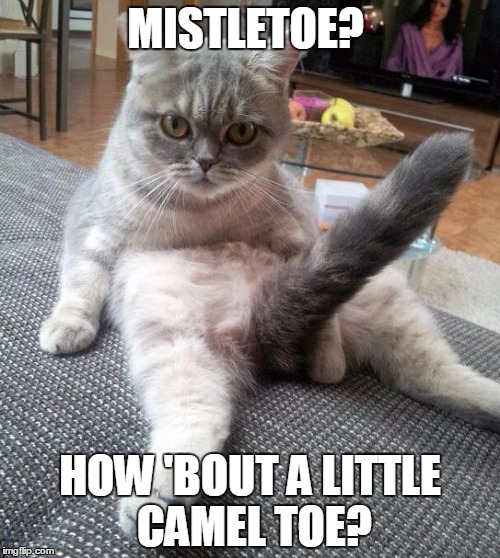 Sexy Cat | MISTLETOE? HOW 'BOUT A LITTLE CAMEL TOE? | image tagged in memes,sexy cat | made w/ Imgflip meme maker