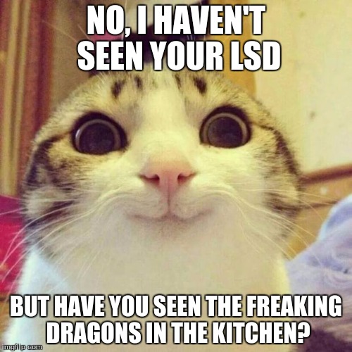 Yes, I know, this is on google. | NO, I HAVEN'T SEEN YOUR LSD BUT HAVE YOU SEEN THE FREAKING DRAGONS IN THE KITCHEN? | image tagged in memes,smiling cat | made w/ Imgflip meme maker