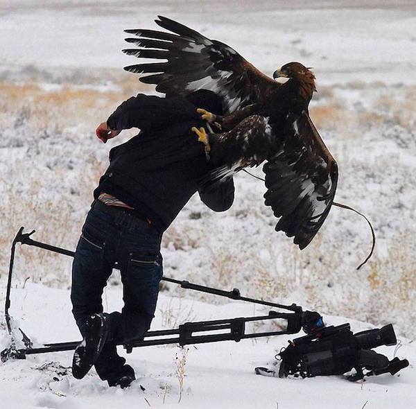 Condor vs. Cameraman Blank Meme Template