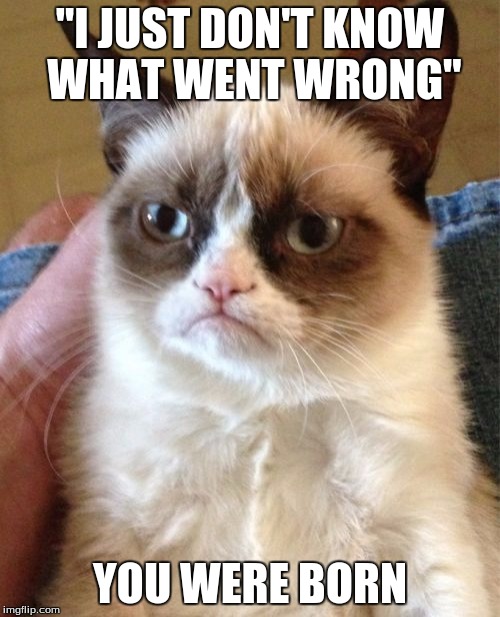 Grumpy Cat Meme | "I JUST DON'T KNOW WHAT WENT WRONG" YOU WERE BORN | image tagged in memes,grumpy cat | made w/ Imgflip meme maker