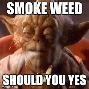 Yoda stoned | SMOKE WEED SHOULD YOU YES | image tagged in yoda stoned | made w/ Imgflip meme maker