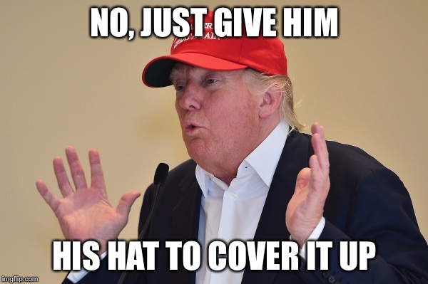 Oo I'm so scared trump | NO, JUST GIVE HIM HIS HAT TO COVER IT UP | image tagged in oo i'm so scared trump | made w/ Imgflip meme maker