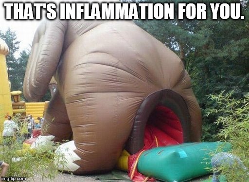 THAT'S INFLAMMATION FOR YOU. | made w/ Imgflip meme maker
