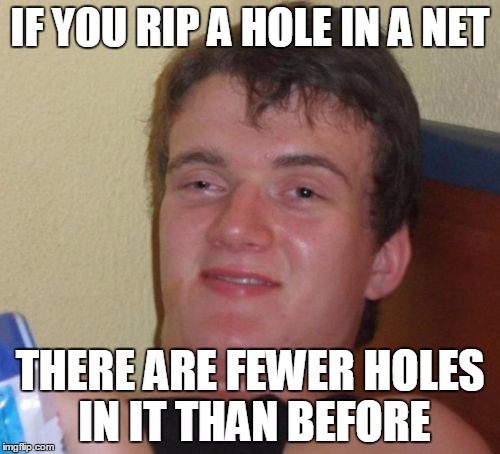 10 Guy Meme | IF YOU RIP A HOLE IN A NET THERE ARE FEWER HOLES IN IT THAN BEFORE | image tagged in memes,10 guy | made w/ Imgflip meme maker