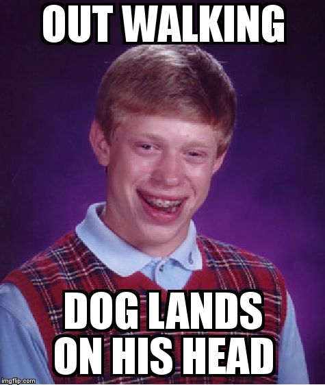 Bad Luck Brian Meme | OUT WALKING DOG LANDS ON HIS HEAD | image tagged in memes,bad luck brian | made w/ Imgflip meme maker
