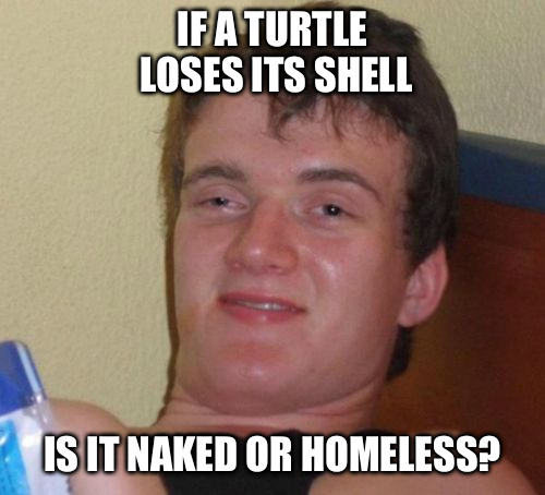10 Guy | IF A TURTLE LOSES ITS SHELL IS IT NAKED OR HOMELESS? | image tagged in memes,10 guy | made w/ Imgflip meme maker