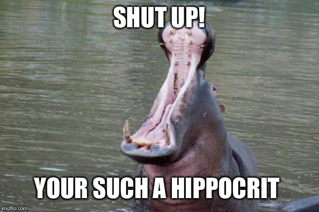 Hippo Mouth Open | SHUT UP! YOUR SUCH A HIPPOCRIT | image tagged in hippo mouth open | made w/ Imgflip meme maker