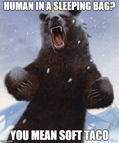 Overly Bearly Bear | HUMAN IN A SLEEPING BAG? YOU MEAN SOFT TACO | image tagged in overly bearly bear,meme,bear,memes | made w/ Imgflip meme maker