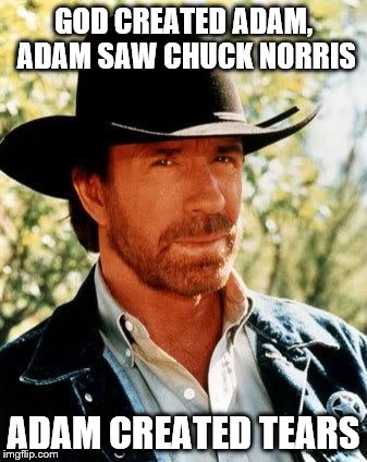 Chuck Norris | GOD CREATED ADAM, ADAM SAW CHUCK NORRIS ADAM CREATED TEARS | image tagged in chuck norris | made w/ Imgflip meme maker