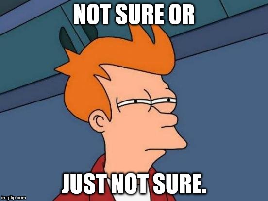 Futurama Fry Meme | NOT SURE OR JUST NOT SURE. | image tagged in memes,futurama fry | made w/ Imgflip meme maker