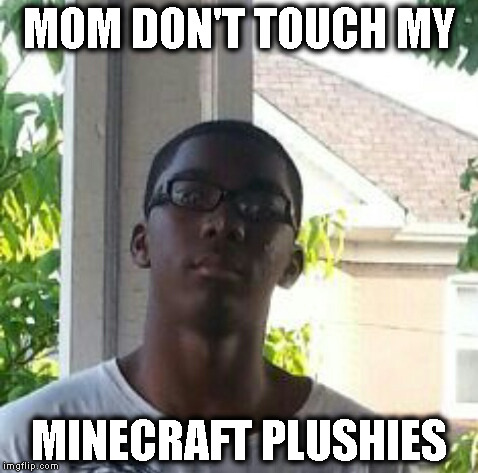 Minecraft Enthusiasts Be Like | MOM DON'T TOUCH MY MINECRAFT PLUSHIES | image tagged in minecraft,forever alone,black lives matter | made w/ Imgflip meme maker