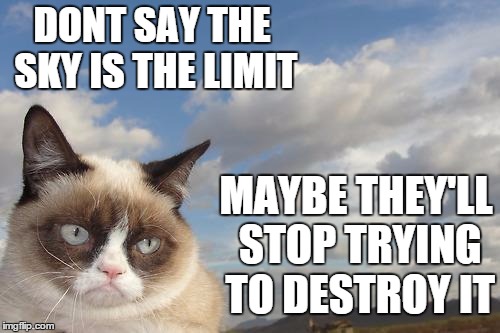Grumpy Cat Sky | DONT SAY THE SKY IS THE LIMIT MAYBE THEY'LL STOP TRYING TO DESTROY IT | image tagged in memes,grumpy cat sky,grumpy cat | made w/ Imgflip meme maker