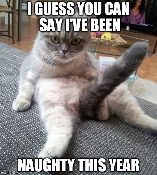 Sexy Cat Meme | I GUESS YOU CAN SAY I'VE BEEN NAUGHTY THIS YEAR | image tagged in memes,sexy cat | made w/ Imgflip meme maker