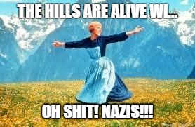 Look At All These Meme | THE HILLS ARE ALIVE WI... OH SHIT! NAZIS!!! | image tagged in memes,look at all these | made w/ Imgflip meme maker