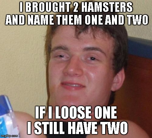 10 Guy | I BROUGHT 2 HAMSTERS AND NAME THEM ONE AND TWO IF I LOOSE ONE I STILL HAVE TWO | image tagged in memes,10 guy,hamster,bad luck,1 and 2,updated bad luck brian | made w/ Imgflip meme maker