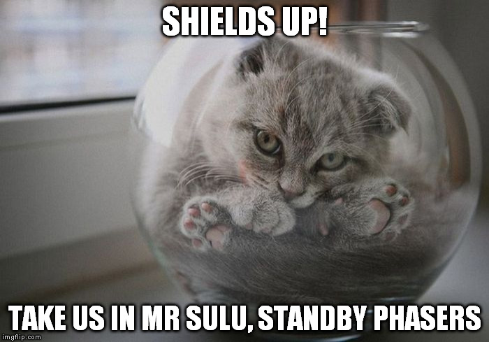 Cat Trek | SHIELDS UP! TAKE US IN MR SULU, STANDBY PHASERS | image tagged in shields,star trek | made w/ Imgflip meme maker