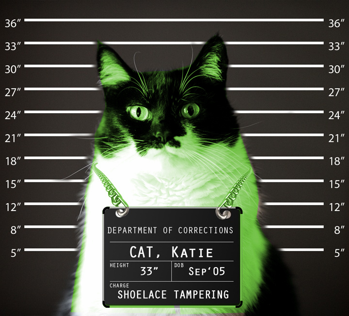RayCat Incarcerated Blank Meme Template