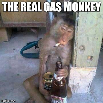 Drunken Ass monkey | THE REAL GAS MONKEY | image tagged in drunken ass monkey | made w/ Imgflip meme maker