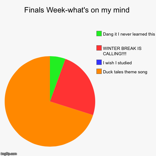 I REGRET NOTHING!!!!!!! | image tagged in funny,pie charts,duck,tales,finals,finals week | made w/ Imgflip chart maker
