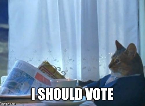 I Should Buy A Boat Cat | I SHOULD VOTE | image tagged in memes,i should buy a boat cat,AdviceAnimals | made w/ Imgflip meme maker