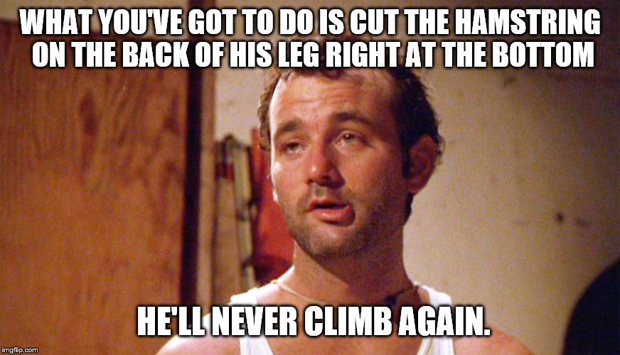 WHAT YOU'VE GOT TO DO IS CUT THE HAMSTRING ON THE BACK OF HIS LEG RIGHT AT THE BOTTOM HE'LL NEVER CLIMB AGAIN. | made w/ Imgflip meme maker