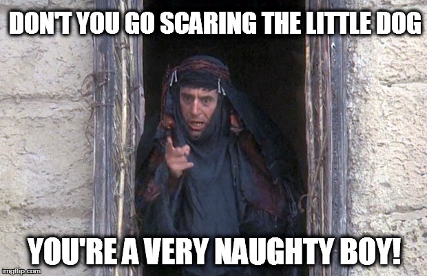 Life Of Brian  | DON'T YOU GO SCARING THE LITTLE DOG YOU'RE A VERY NAUGHTY BOY! | image tagged in life of brian  | made w/ Imgflip meme maker