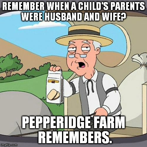 Pepperidge Farm Remembers | REMEMBER WHEN A CHILD'S PARENTS WERE HUSBAND AND WIFE? PEPPERIDGE FARM REMEMBERS. | image tagged in memes,pepperidge farm remembers | made w/ Imgflip meme maker