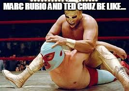 mexican wrestlers | MARC RUBIO AND TED CRUZ BE LIKE... | image tagged in mexican wrestlers | made w/ Imgflip meme maker