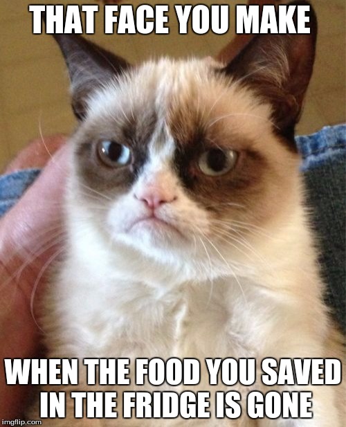 Grumpy Cat | THAT FACE YOU MAKE WHEN THE FOOD YOU SAVED IN THE FRIDGE IS GONE | image tagged in memes,grumpy cat | made w/ Imgflip meme maker