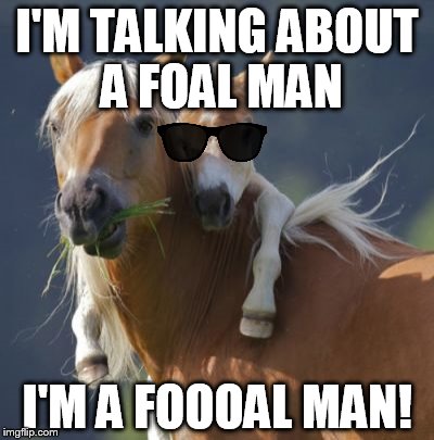 Foal Of Mine Meme | I'M TALKING ABOUT A FOAL MAN I'M A FOOOAL MAN! | image tagged in memes,foal of mine,animals,soul man,funny | made w/ Imgflip meme maker