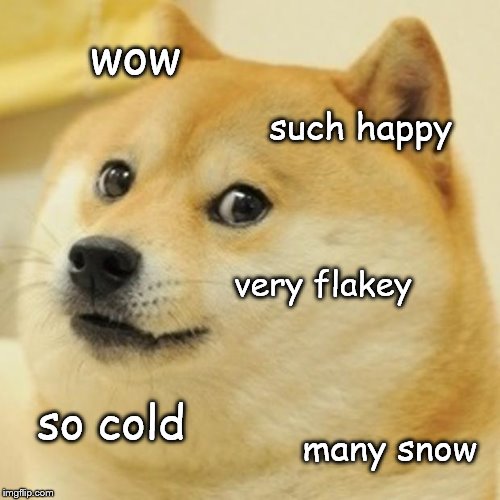 Doge Meme | wow such happy very flakey so cold many snow | image tagged in memes,doge | made w/ Imgflip meme maker