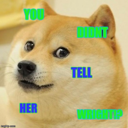 Doge Meme | YOU DIDNT TELL HER WRIGHT!? | image tagged in memes,doge | made w/ Imgflip meme maker