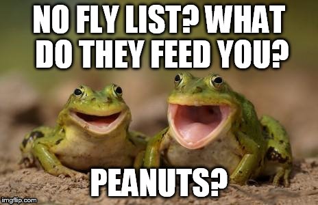 NO FLY LIST? WHAT DO THEY FEED YOU? PEANUTS? | made w/ Imgflip meme maker