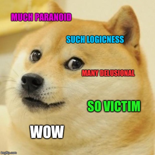 Doge Meme | MUCH PARANOID WOW MANY DELUSIONAL SUCH LOGICNESS SO VICTIM | image tagged in memes,doge | made w/ Imgflip meme maker