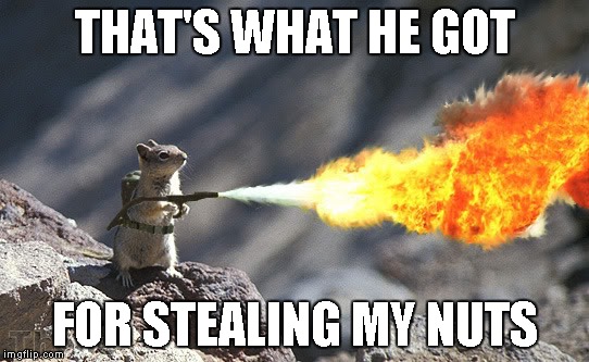THAT'S WHAT HE GOT FOR STEALING MY NUTS | made w/ Imgflip meme maker
