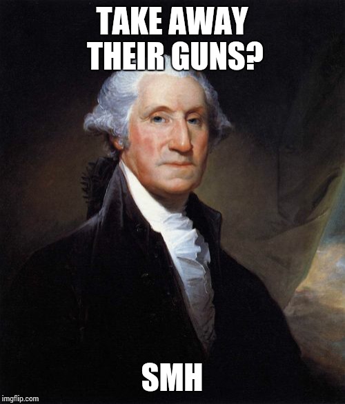 George Washington | TAKE AWAY THEIR GUNS? SMH | image tagged in memes,george washington | made w/ Imgflip meme maker