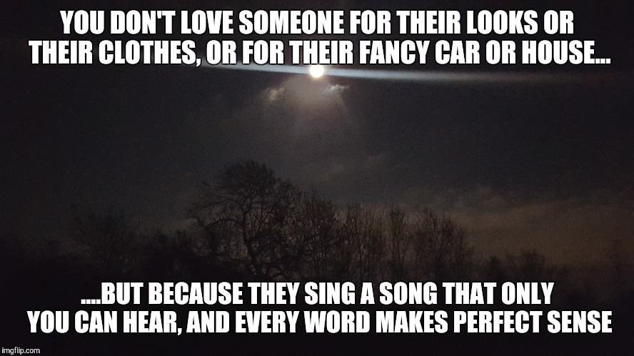 YOU DON'T LOVE SOMEONE FOR THEIR LOOKS OR THEIR CLOTHES, OR FOR THEIR FANCY CAR OR HOUSE... ....BUT BECAUSE THEY SING A SONG THAT ONLY YOU C | image tagged in love you | made w/ Imgflip meme maker
