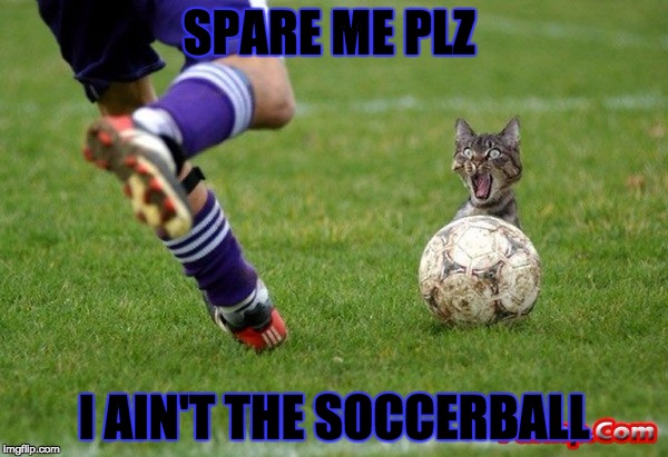 SPARE ME PLZ I AIN'T THE SOCCERBALL | image tagged in catball | made w/ Imgflip meme maker