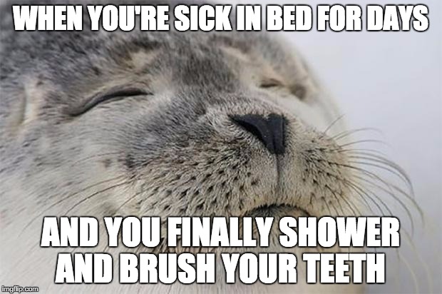 Satisfied Seal Meme | WHEN YOU'RE SICK IN BED FOR DAYS AND YOU FINALLY SHOWER AND BRUSH YOUR TEETH | image tagged in memes,satisfied seal,AdviceAnimals | made w/ Imgflip meme maker