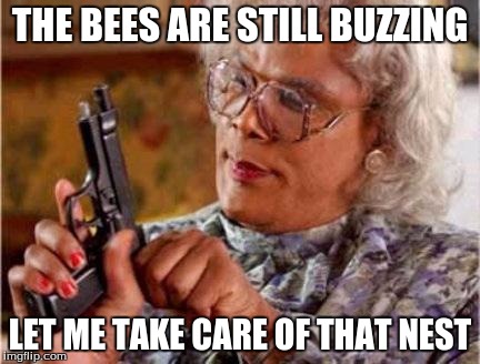 Madea | THE BEES ARE STILL BUZZING LET ME TAKE CARE OF THAT NEST | image tagged in madea | made w/ Imgflip meme maker