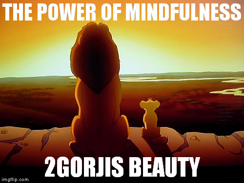 Lion King | THE POWER OF MINDFULNESS 2GORJIS BEAUTY | image tagged in memes,lion king | made w/ Imgflip meme maker