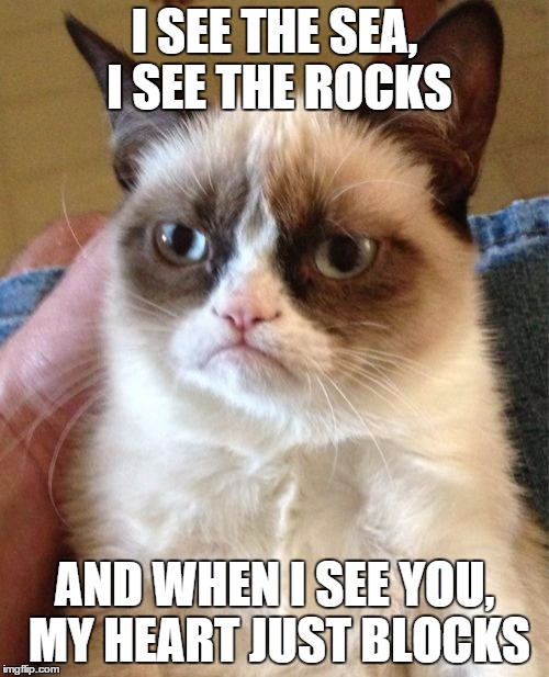 Beach hatred | I SEE THE SEA, I SEE THE ROCKS AND WHEN I SEE YOU, MY HEART JUST BLOCKS | image tagged in memes,grumpy cat | made w/ Imgflip meme maker