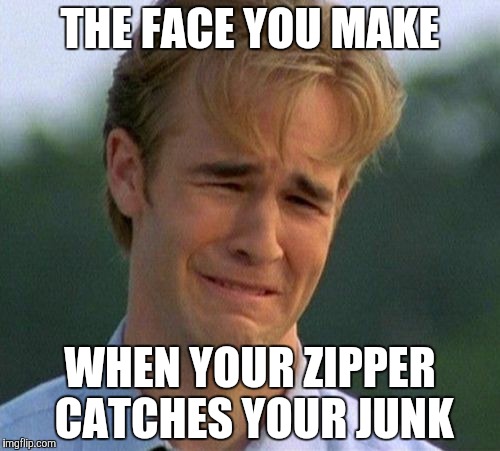 1990s First World Problems Meme | THE FACE YOU MAKE WHEN YOUR ZIPPER CATCHES YOUR JUNK | image tagged in memes,1990s first world problems | made w/ Imgflip meme maker