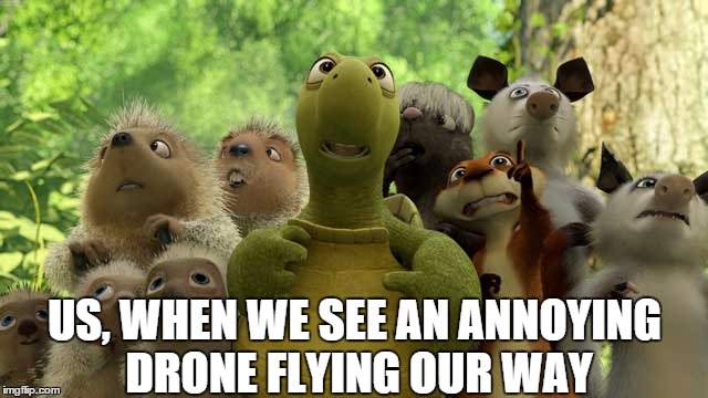 Drones, Drones Everywhere! | US, WHEN WE SEE AN ANNOYING DRONE FLYING OUR WAY | image tagged in over the hedge at the hedge,drone,flying,squirrel,turtles,possum | made w/ Imgflip meme maker
