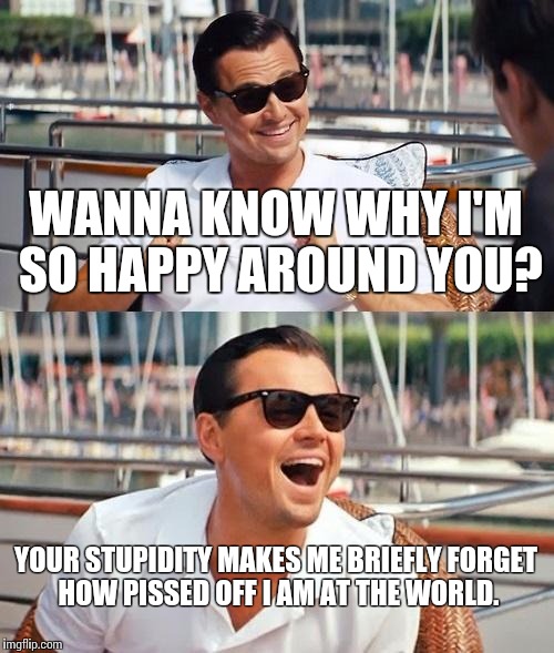 Raging Leo  | WANNA KNOW WHY I'M SO HAPPY AROUND YOU? YOUR STUPIDITY MAKES ME BRIEFLY FORGET HOW PISSED OFF I AM AT THE WORLD. | image tagged in memes,leonardo dicaprio wolf of wall street | made w/ Imgflip meme maker