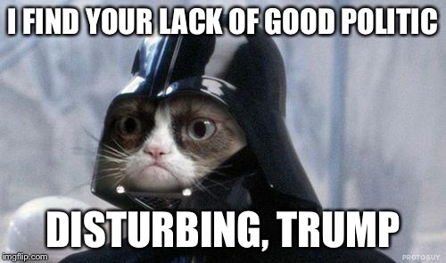 Grumpy Cat Star Wars | I FIND YOUR LACK OF GOOD POLITIC DISTURBING, TRUMP | image tagged in memes,grumpy cat star wars,grumpy cat | made w/ Imgflip meme maker