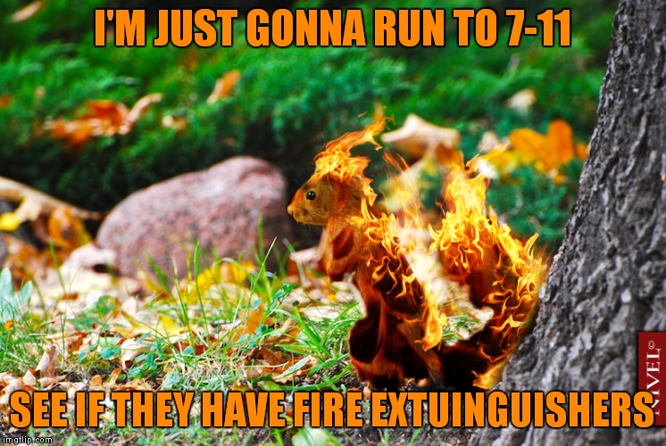 I'M JUST GONNA RUN TO 7-11 SEE IF THEY HAVE FIRE EXTUINGUISHERS | made w/ Imgflip meme maker